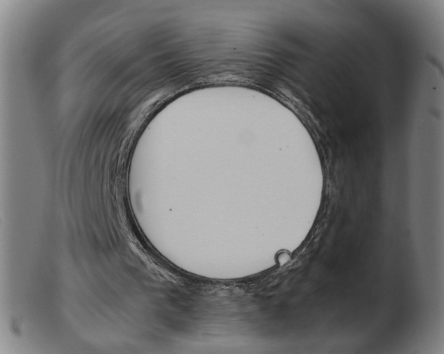 X0000103960193200809191342