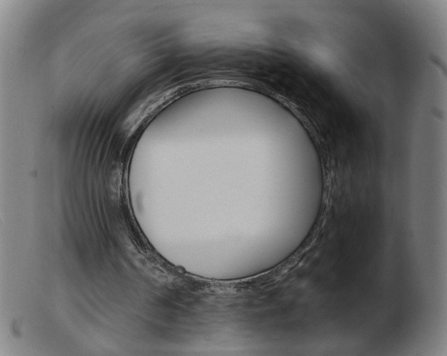 X0000103960194200809191342