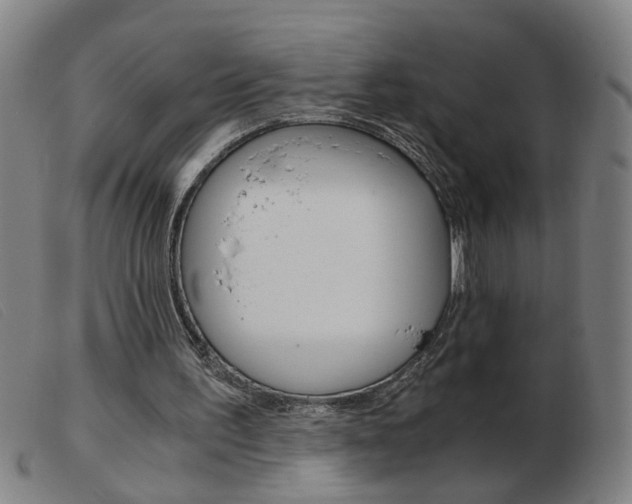 X0000103960195200809191342