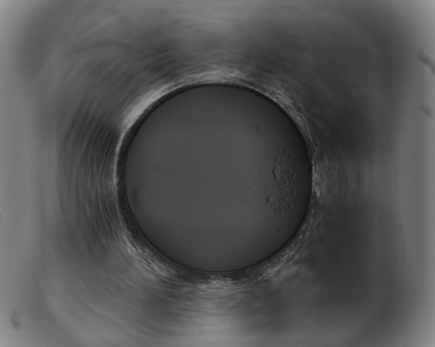 X0000103960196200809191342