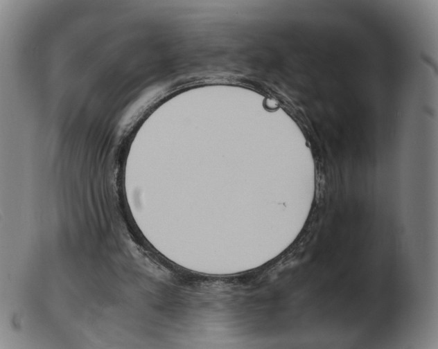 X0000103960197200809191342