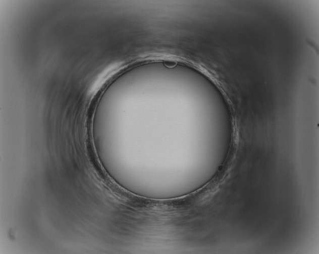 X0000103960199200809191342