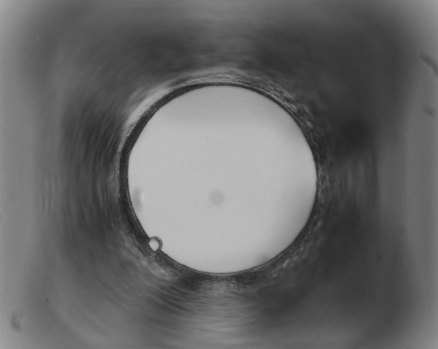 X0000103960200200809191342