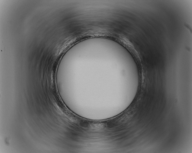 X0000103960202200809191342