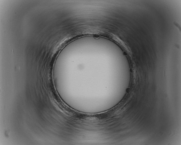 X0000103960203200809191342