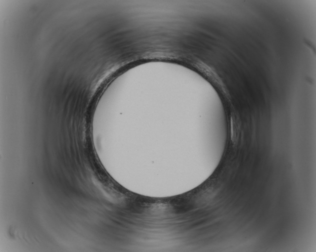 X0000103960204200809191342