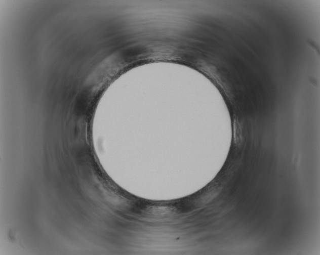 X0000103960205200809191342