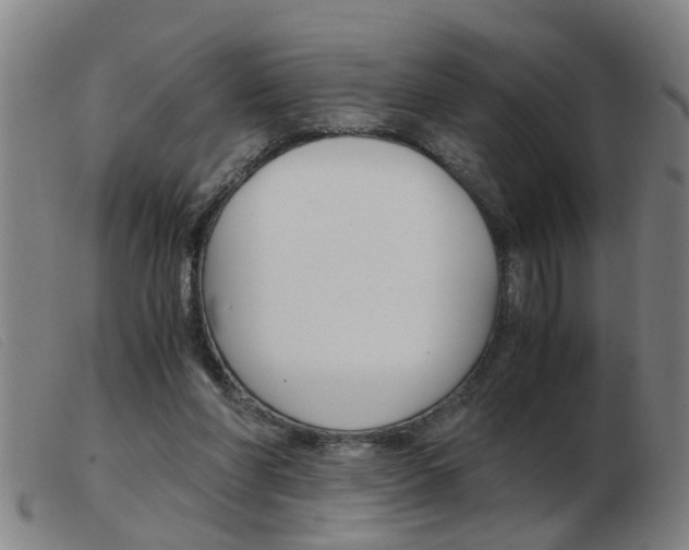 X0000103960206200809191342