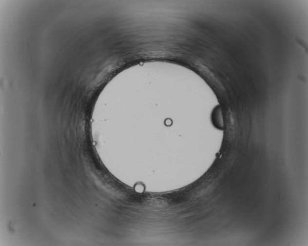 X0000103960207200809191342