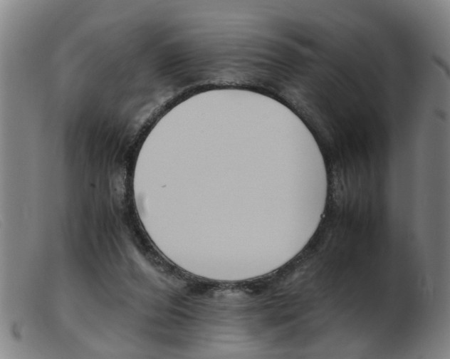 X0000103960208200809191342