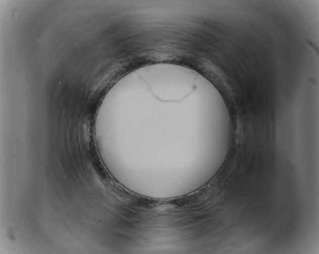 X0000103960210200809191342