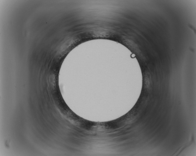 X0000103960211200809191342
