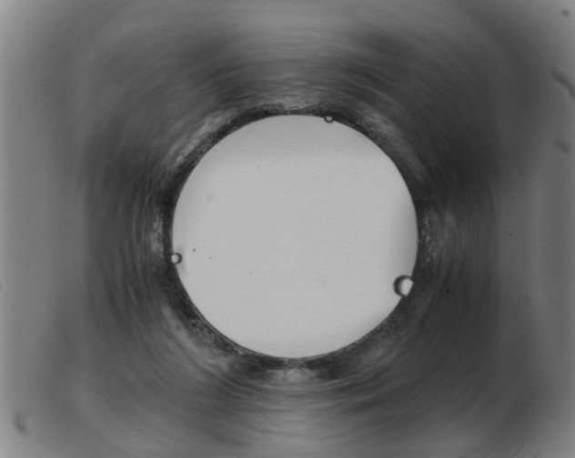 X0000103960212200809191342