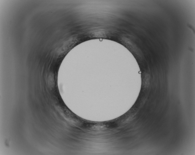 X0000103960213200809191342