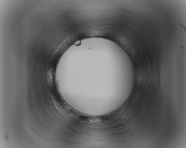 X0000103960214200809191342