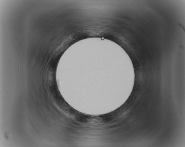 X0000103960215200809191342