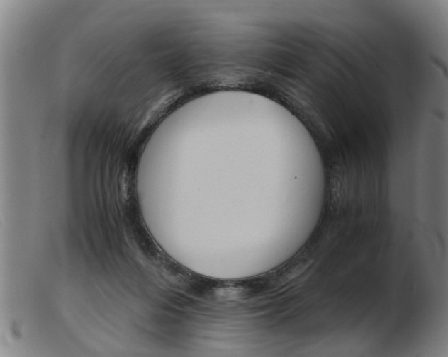 X0000103960216200809191342