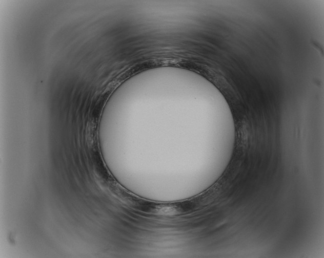 X0000103960218200809191342