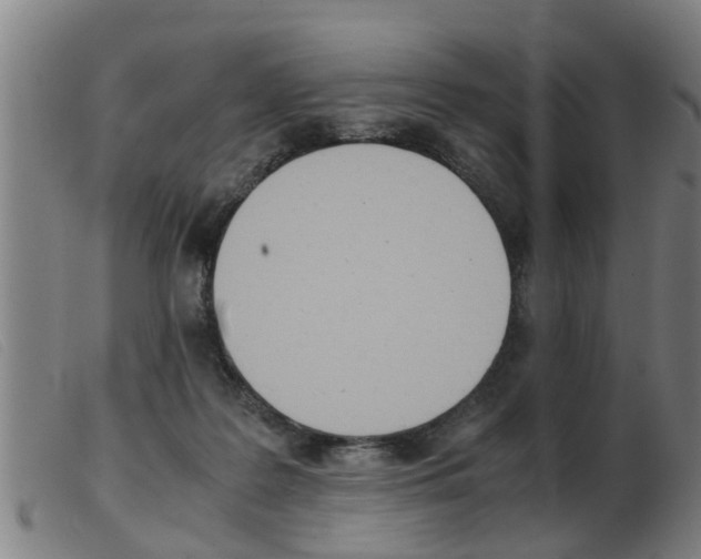 X0000103960219200809191342