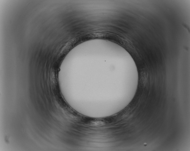 X0000103960220200809191342