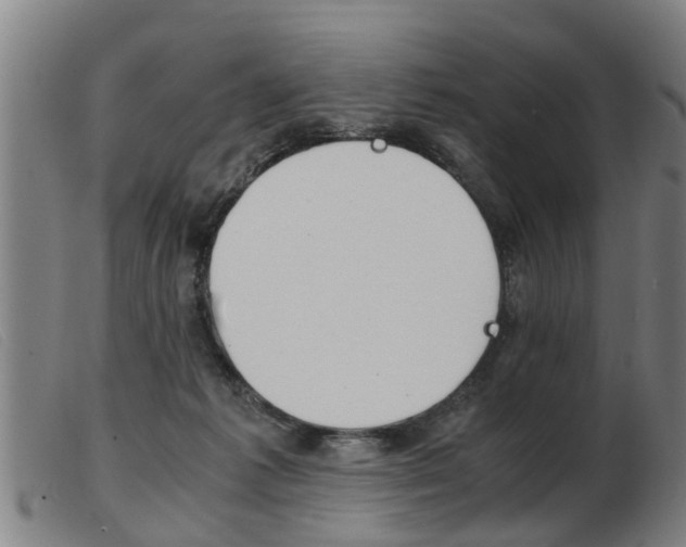 X0000103960221200809191342