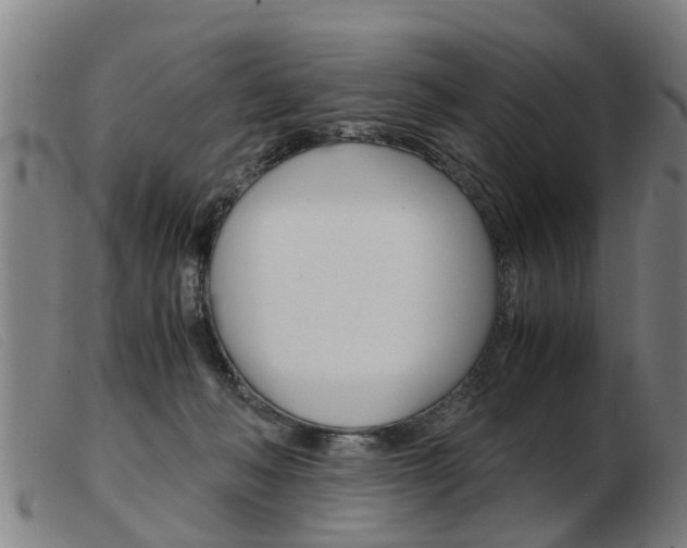 X0000103960222200809191342