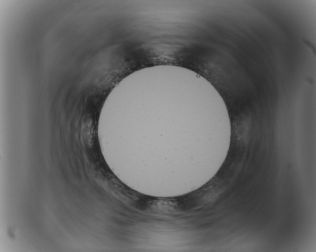 X0000103960223200809191342