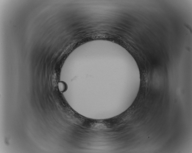 X0000103960224200809191342
