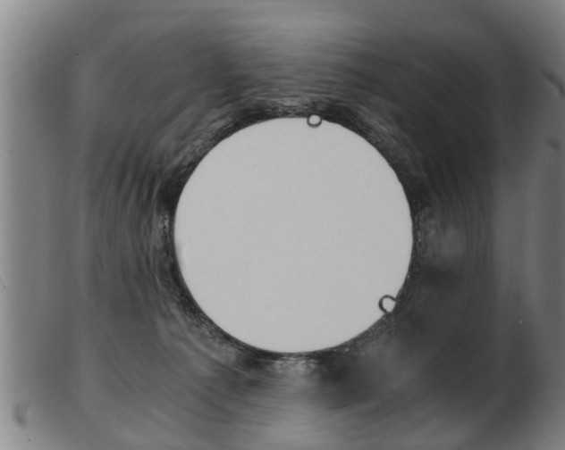 X0000103960225200809191342