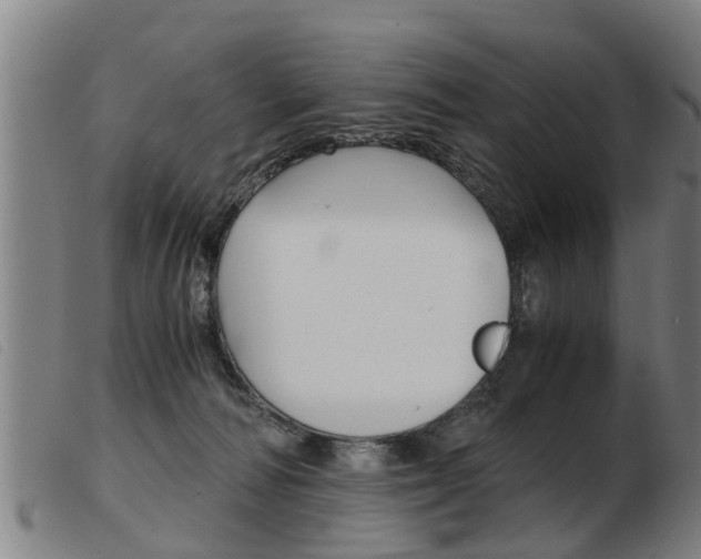 X0000103960226200809191342