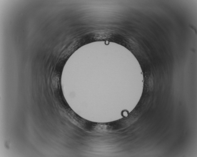 X0000103960227200809191342
