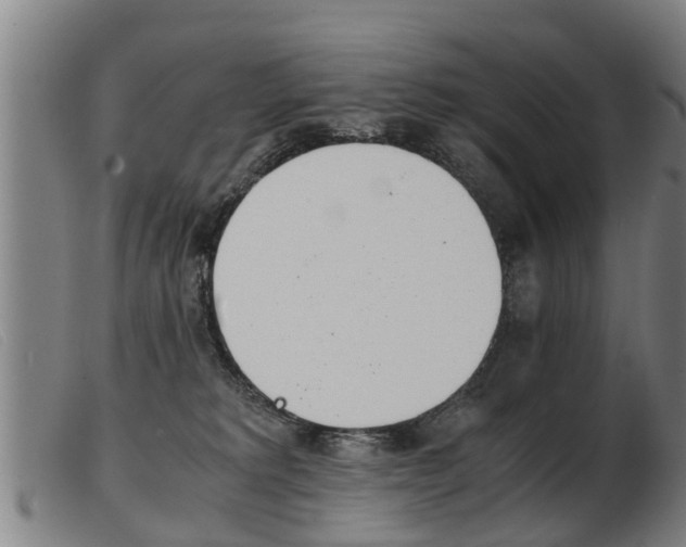 X0000103960229200809191342
