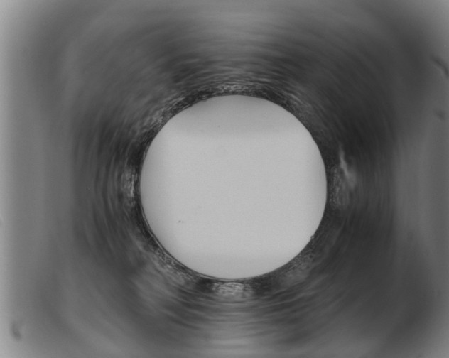 X0000103960230200809191342