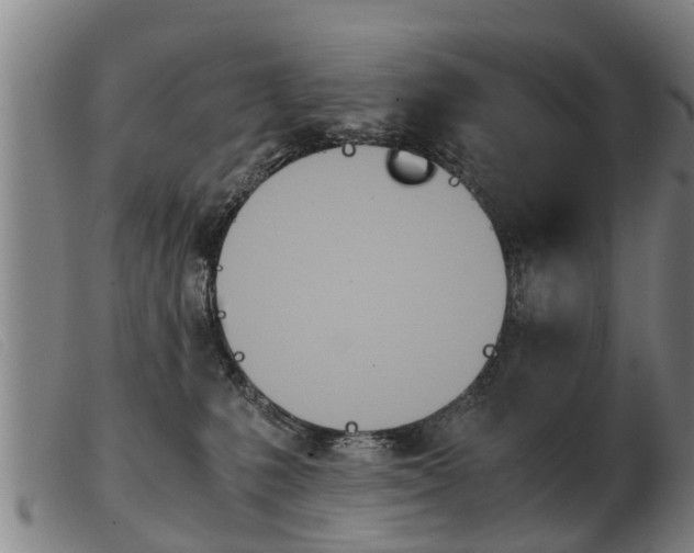 X0000103960231200809191342
