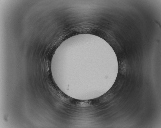 X0000103960232200809191342