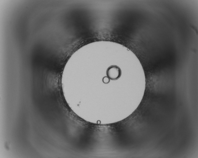 X0000103960233200809191341