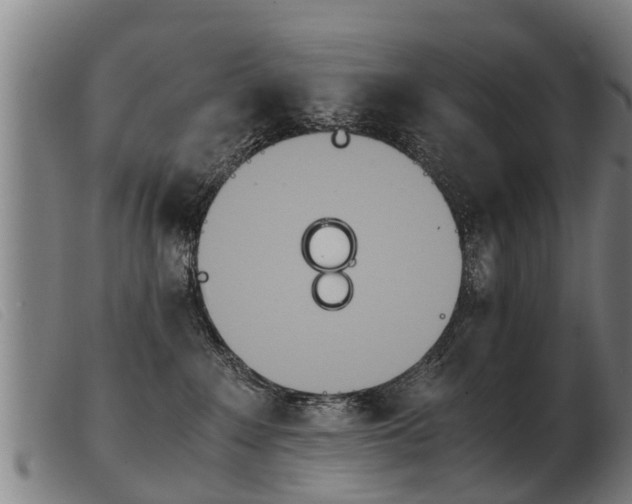 X0000103960235200809191341