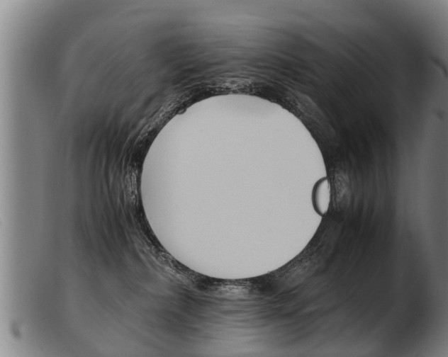 X0000103960236200809191341