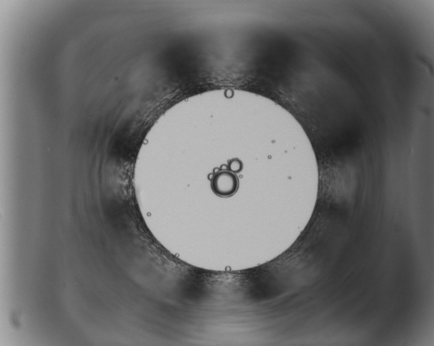 X0000103960237200809191341