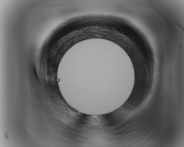 X0000103960239200809191341