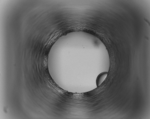 X0000103960240200809191341