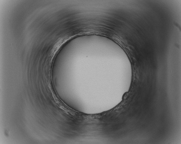 X0000103960241200809191341