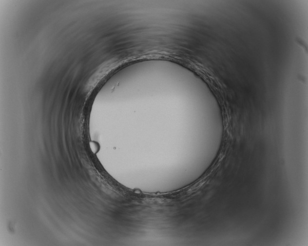 X0000103960242200809191341