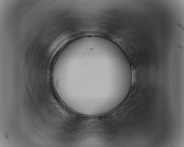 X0000103960243200809191341