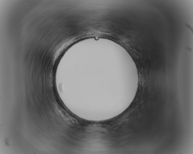 X0000103960244200809191341