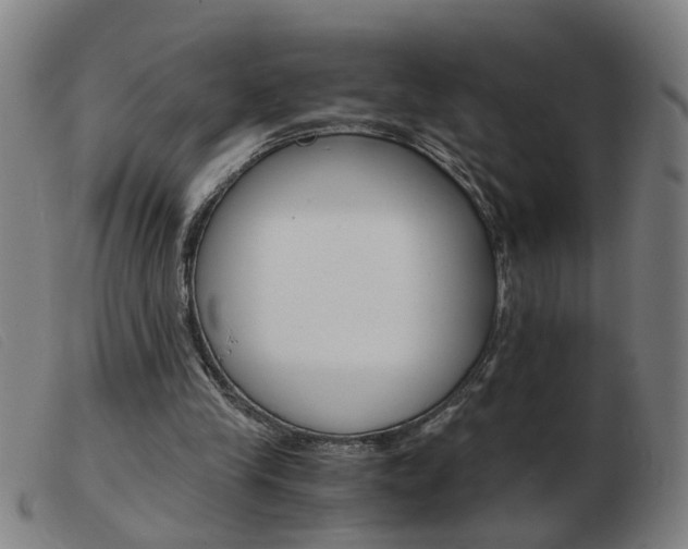 X0000103960245200809191341
