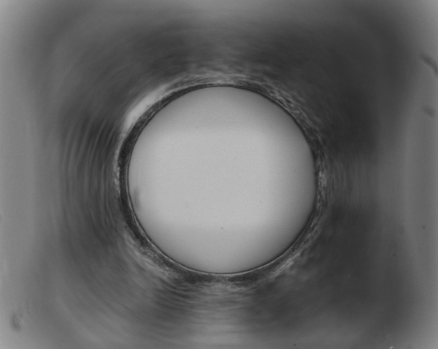 X0000103960246200809191341