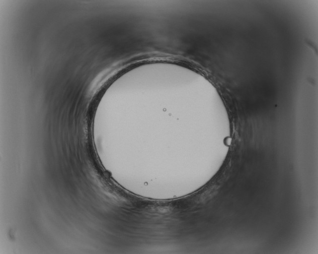 X0000103960247200809191341