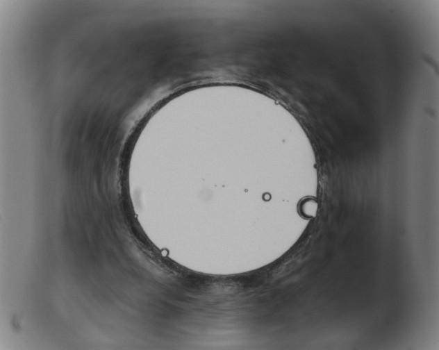 X0000103960248200809191341