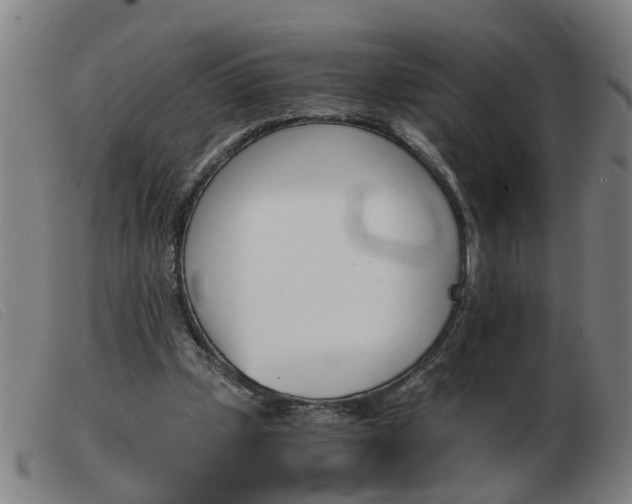 X0000103960249200809191341